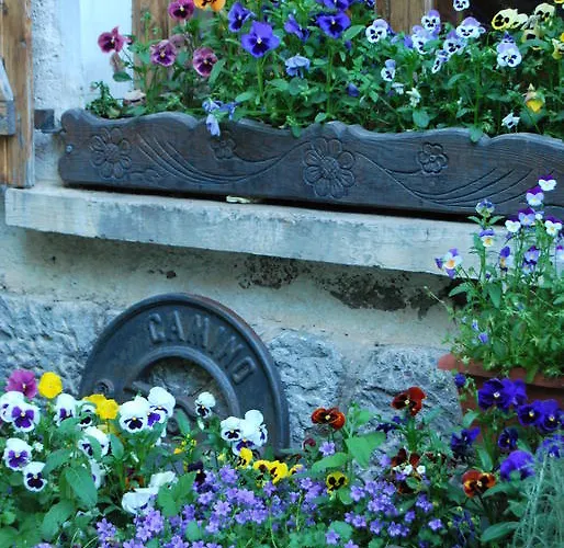 Venkovský dům Casa Marieta Canfranc